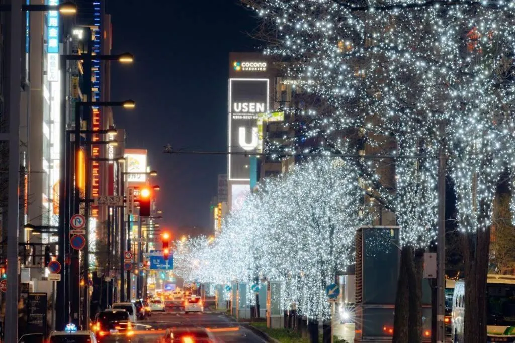 Lumiere Enclave Villa Sapporo